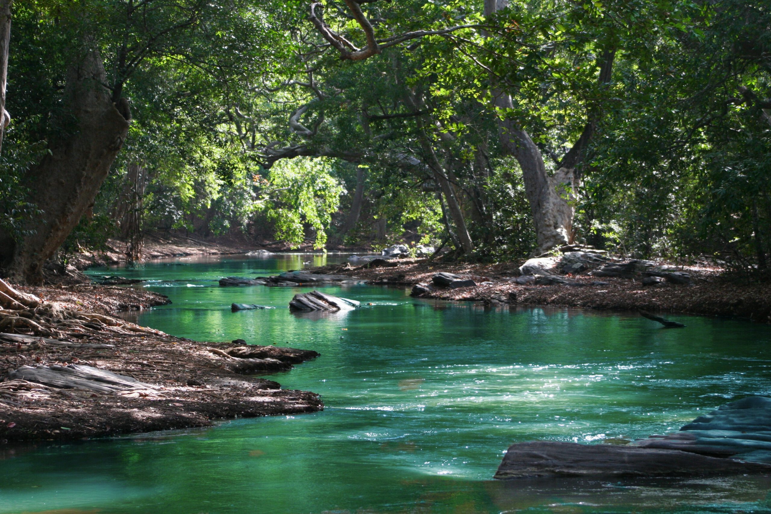 Ferienhäuser Provence